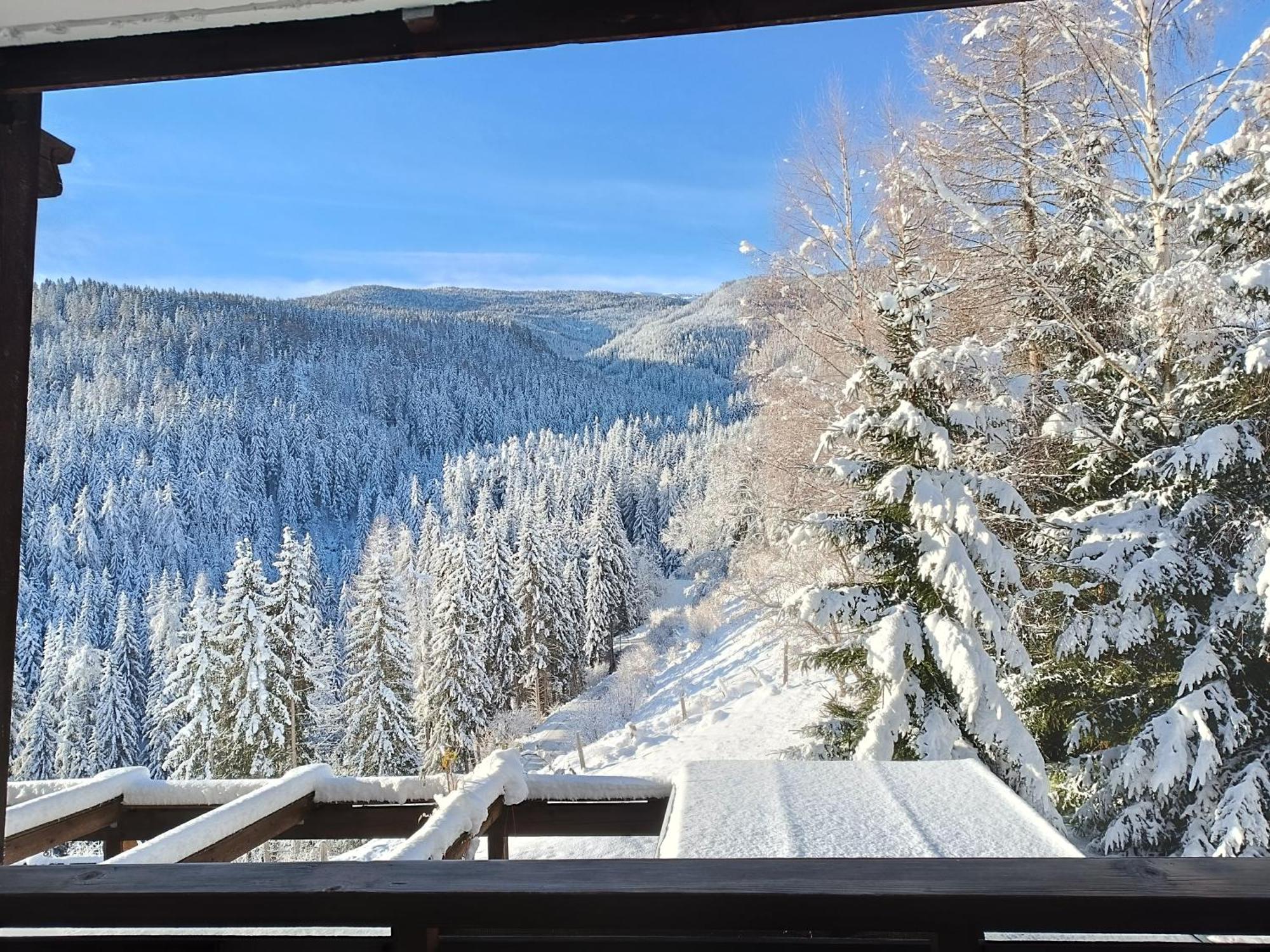 Bergkristall Ruhe Und Aussicht Auf 1100M Sankt Lorenzen ob Murau Exterior photo